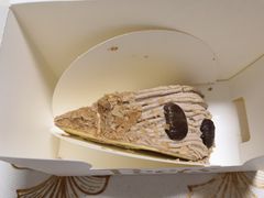 -Peet's Coffee皮爷咖啡(上海长风大悦城店)