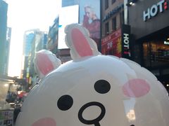 -line friends(明洞旗舰店)