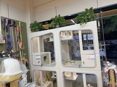 -唐小姐の私宠·宠物洗护美容·撸猫馆·购宠(周浦万达旗舰店)