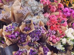 -The Grounds of Alexandria