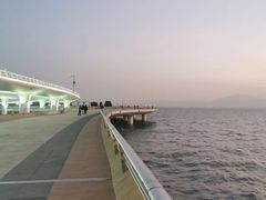 -演武大桥观景平台