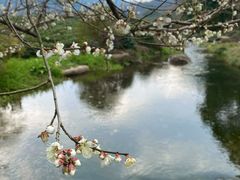 -中国茶叶博物馆(双峰馆区)