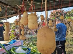 -汉长安城未央宫国家考古遗址公园