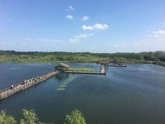 -溱湖国家湿地公园