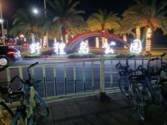 -野狸岛