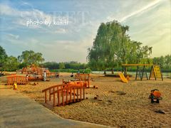 -大兴滨河森林公园