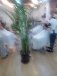 点击看大图 android_upload_pic-尚·丹尼Hair