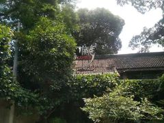 -旅马餐厅(茅家埠店)