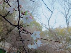 -赭山公园