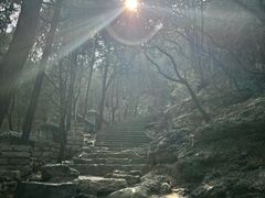 -佛慧山