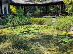 -武汉园博园(武汉自然博物馆)