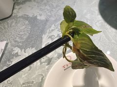 -百年聚宾楼(北大街店)