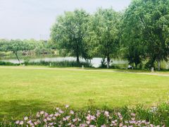 -九里河湿地公园