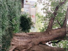 -阳光院坝小龙虾(红牌楼店)
