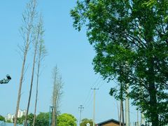 -嘉北郊野公园北游客中心-地上停车场