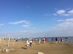 -碧海金沙