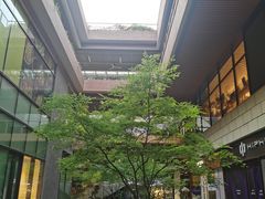-瑞虹新天地月亮湾