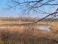 -盘龙城国家考古遗址公园