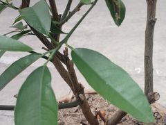 -一口猪年味东北菜(荔枝沟店)