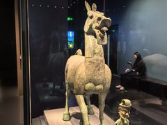 -广西壮族自治区博物馆