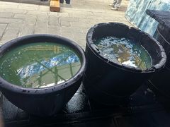 -璞真扎染博物馆