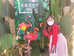 -印象高密·凤都国际大酒店