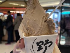 -野人先生现做冰淇淋(北京王府井东方新天地店)