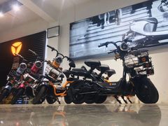 -雅迪电动车(北艾路店)