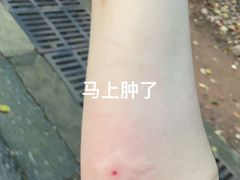 -大蜀山国家森林公园