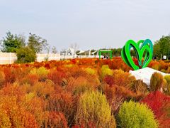 -天津东丽湖风景区