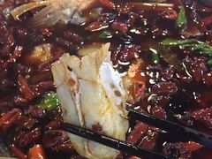 -川道拐耗儿鱼(置信路店)