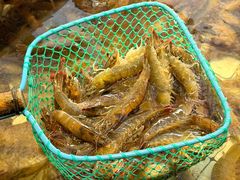 -大锅强·蒸海鲜青岛菜(金沙滩店)