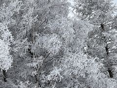 -多乐美地滑雪场