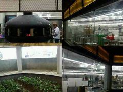 -天怡·鱼工厂(梅溪湖店)