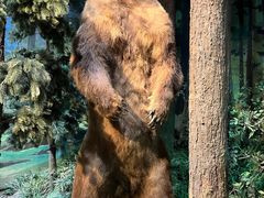 -陕西自然博物馆