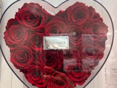 -ROSEONLY诺誓(广州K11店)