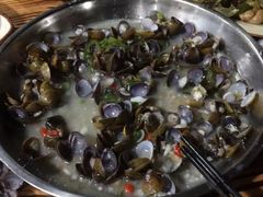 清蒸黄沙蚬-贤鲁岛贤溪农庄