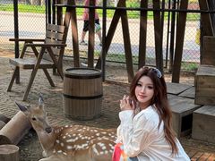 -南戴河国际娱乐中心