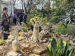 -国家植物园南园