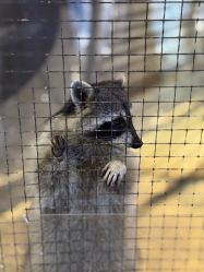 -酷嗒动物文化乐园(cutezoo西溪乐天城店)