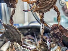 -富临港·蒸汽海鲜·手抓海鲜·炒菜(栈桥店)