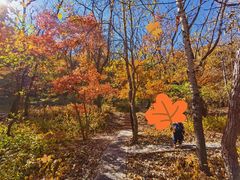 -玉渡山自然风景区