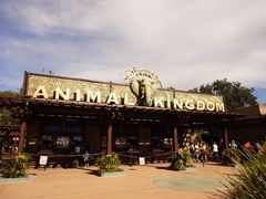 -奥兰多迪士尼动物王国乐园