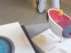 -武汉大学附属爱尔眼科医院(湖北总院)