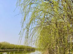 -广富林郊野公园