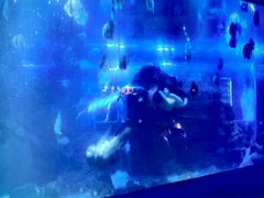 -江和美海洋公园