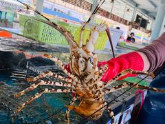 -清水湾3号(东方小周海鲜店)