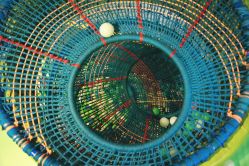 -酷嗒动物文化乐园(cutezoo西溪乐天城店)