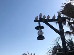 -上海海昌海洋公园