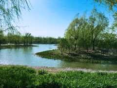 -东郊湿地公园